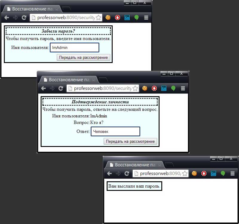 Элемент управления PasswordRecovery в действии