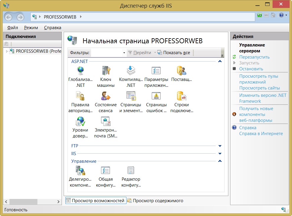 Начальная страница IIS Manager