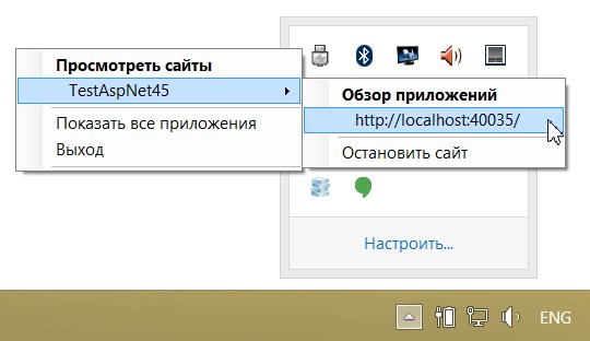 Взаимодействие с IIS Express