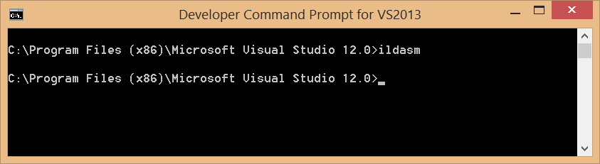 Вызов утилиты ildasm.exe