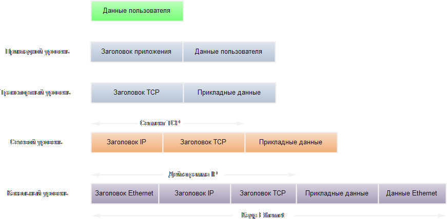 Структура TCP