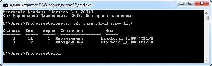 Типичный вывод команды netsh p2p