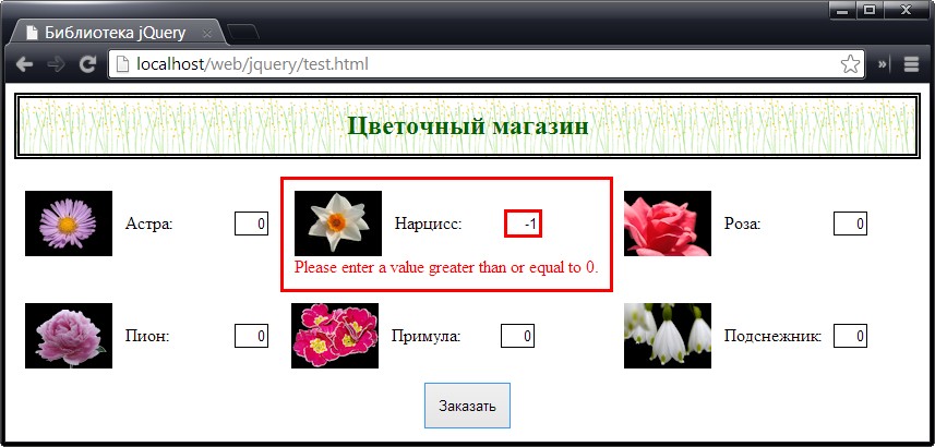 Использование подключаемого модуля Validation