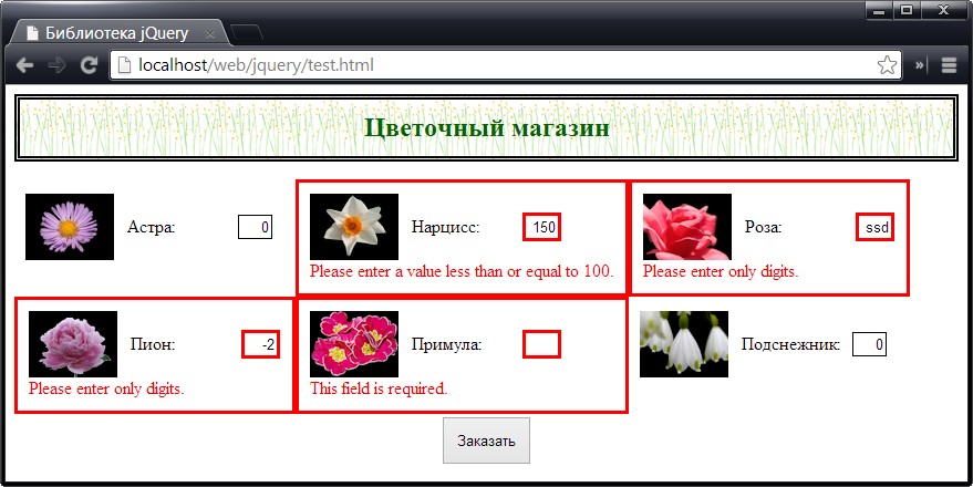 Одновременное применение нескольких видов проверки к элементам формы